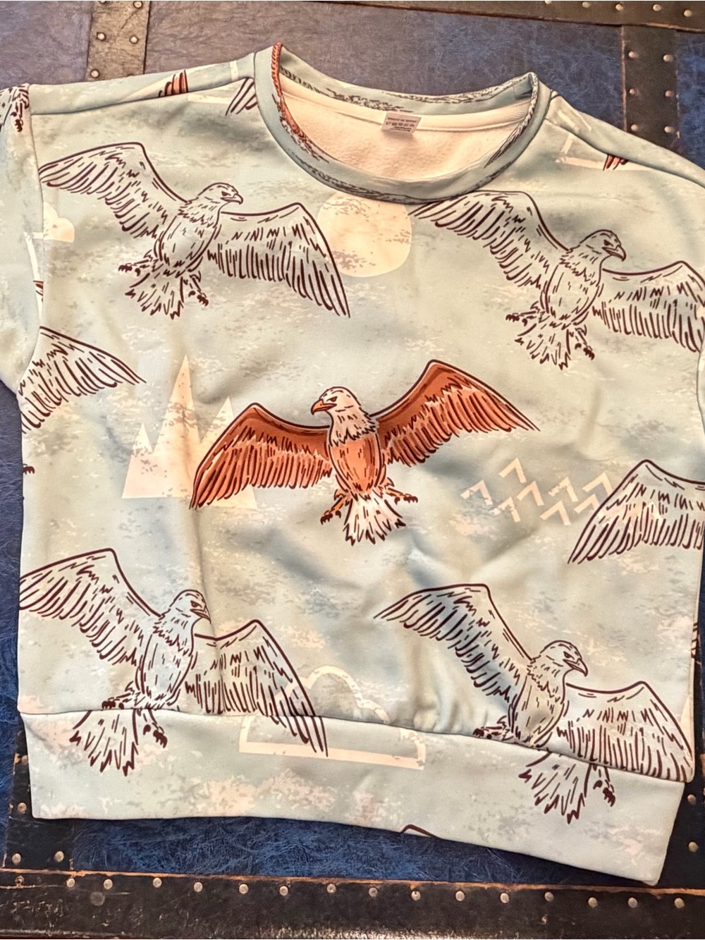 Kids Eagles sweatshirt
